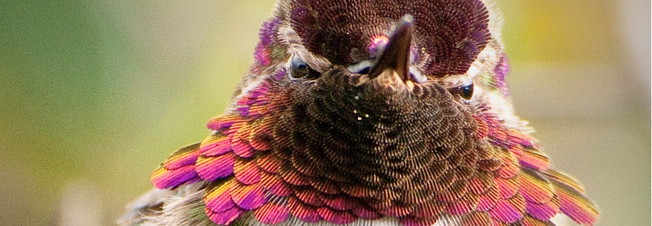 Pete Myers and Keith Hansen