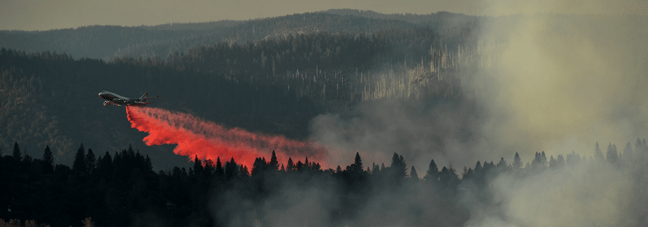 Sharyle Patton and Irwin Keller